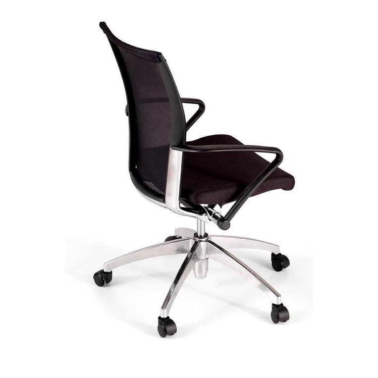 LORENA-P lorena p cicl